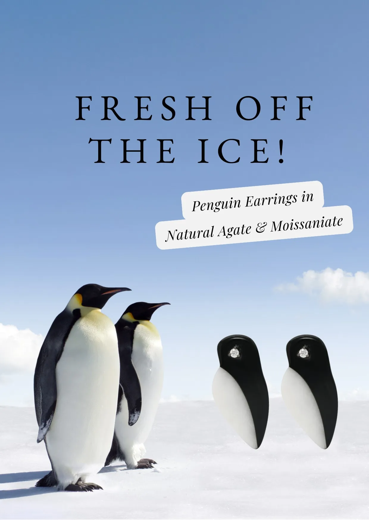 Penguin Parade Earrings Poster